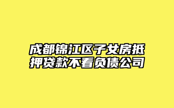 成都锦江区子女房抵押贷款不看负债公司