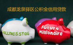 成都龙泉驿区公积金信用贷款成功案例2023