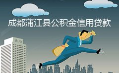 成都蒲江县公积金信用贷款成功案例2023
