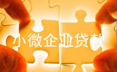 重庆小微企业贷款优惠政策及条件2023
